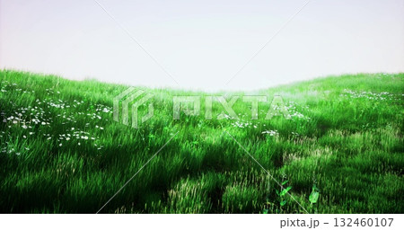 A vast green meadow features vibrant grass and scattered wildflowers gently swaying in the light breeze. Sunlight casts a warm glow, enhancing the tranquil atmosphere. 132460107