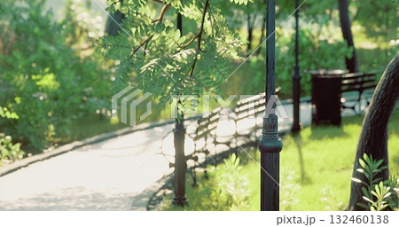 A serene park features a winding pathway lined with benches under lush greenery. Sunlight filters through the leaves, creating a peaceful atmosphere for walking or relaxing. 132460138