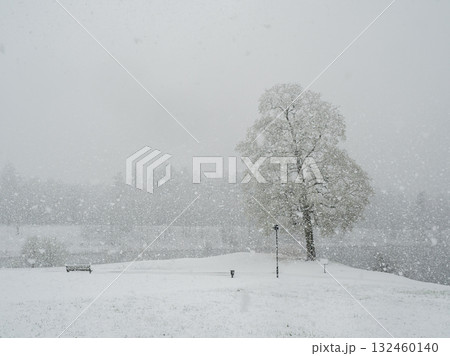 Silent wintry day with snowfall. 132460140
