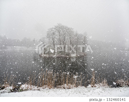 Winter landscape in the snow. 132460141