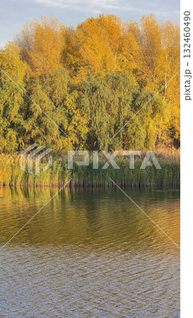 A deep river surrounded by trees and plants. Reed beds. Boats on the water. A deep river surrounded by trees and plants. Reed beds. Boats on the water. 132460490