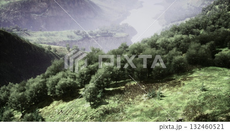 Lush green hills rise steeply beside a winding river, creating a picturesque setting. The fog adds a tranquil atmosphere to the natural scenery at dawn. 132460521