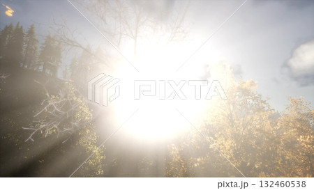 Sunlight bursts through the treetops, casting warm rays over a picturesque autumn forest. Golden leaves shimmer against a clear blue sky, creating a serene and magical atmosphere in nature. 132460538