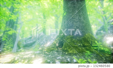 Gentle sunlight streams through vibrant leaves in a serene forest. A majestic tree stands tall, surrounded by soft moss and rocky terrain, creating a tranquil woodland atmosphere. Gentle sunlight streams through vibrant leaves in a serene forest. A majestic tree stands tall, surrounded by soft moss and rocky terrain, creating a tranquil woodland atmosphere. 132460580