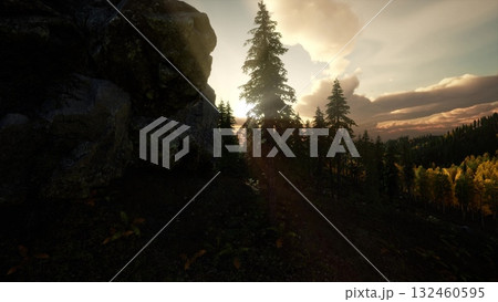 Sunlight breaks through a dense forest, illuminating the rich greens of towering trees. The rocky terrain adds texture as a warm glow envelops the tranquil surroundings during a beautiful morning. 132460595