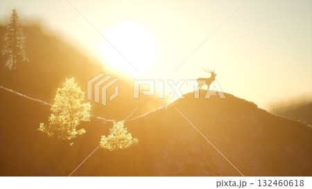 A lone deer stands gracefully on a mountain ridge as the sun rises. The warm golden hues of dawn envelop the landscape, creating a serene moment in natures beauty. 132460618