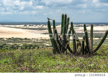 Serrote de Jericoacoara trail along the coast and beaches from Jericoacoara to Pedra Furada in Ceara State of Brazil Serrote de Jericoacoara trail along the coast and beaches from Jericoacoara to Pedra Furada in Ceara State of Brazil 132460818