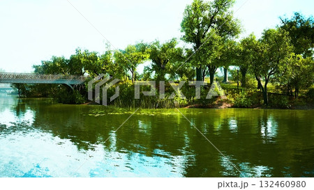 Morning light bathes the peaceful riverbank, showcasing vibrant greenery and calm waters. Trees frame the scene, enhancing the serene atmosphere of nature at its finest. Morning light bathes the peaceful riverbank, showcasing vibrant greenery and calm waters. Trees frame the scene, enhancing the serene atmosphere of nature at its finest. 132460980