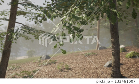 A tranquil woodland setting features green leaves fluttering in the gentle breeze. The ground is covered in fallen leaves and smooth stones, creating a serene atmosphere. 132461007