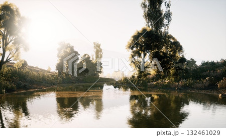 A peaceful natural setting features a calm pond surrounded by lush greenery, with sunlight gently illuminating the scene, creating a serene atmosphere. A peaceful natural setting features a calm pond surrounded by lush greenery, with sunlight gently illuminating the scene, creating a serene atmosphere. 132461029