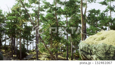 Tall trees green with foliage surround a large rock formation beside a shimmering body of water. Sunlight filters through the branches, creating a serene atmosphere. 132461067