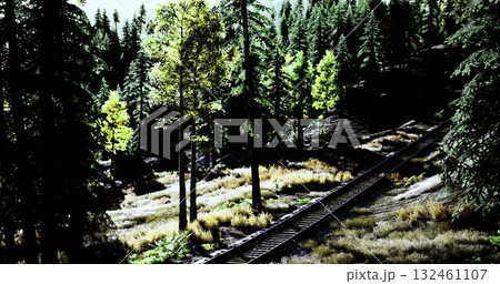 Train tracks meander through a verdant forest with tall trees and vibrant greenery under clear blue skies, showcasing a picturesque natural landscape bathed in sunlight. Train tracks meander through a verdant forest with tall trees and vibrant greenery under clear blue skies, showcasing a picturesque natural landscape bathed in sunlight. 132461107