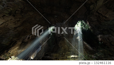 Sunlight streams through openings in the cave, illuminating the rocky interior. Lush greenery clings to the walls, creating a serene and captivating atmosphere. 132461116