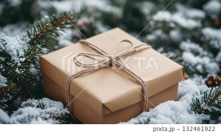 A gift box wrapped in plain brown paper and tied with twine. The gift lies on a snow-covered surface among coniferous branches.	 132461922
