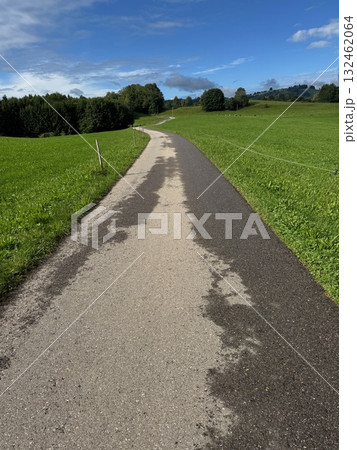 Dirt road with a grassy hillside in the background 132462064