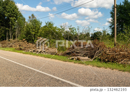 Pile of cut branches and logs along a rural road, surrounded by greenery and trees, under a bright blue sky with fluffy clouds, showcasing natural landscape elements Pile of cut branches and logs along a rural road, surrounded by greenery and trees, under a bright blue sky with fluffy clouds, showcasing natural landscape elements 132462193