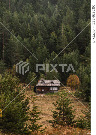 Autumn Landscape with Rustic Wooden Cabin in Forest Autumn Landscape with Rustic Wooden Cabin in Forest 132462200