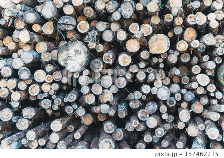 Stacked logs in a natural setting, showcasing various sizes and textures, creating a rustic and organic atmosphere, ideal for nature-themed projects and designs Stacked logs in a natural setting, showcasing various sizes and textures, creating a rustic and organic atmosphere, ideal for nature-themed projects and designs 132462215