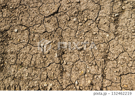 Dry cracked earth surface displaying intricate patterns and textures, highlighting the effects of drought and environmental changes on soil quality and landscape resilience 132462219