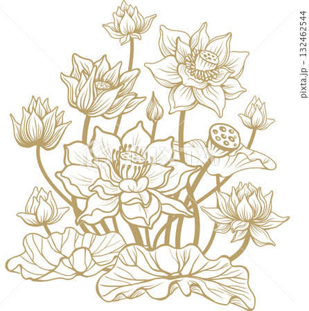 Vector illustration with blooming lotus flowers 132462544