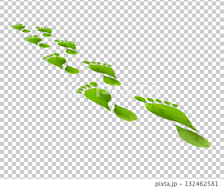 Green Leaf Footprints Symbolizing Environmental Awareness Green Leaf Footprints Symbolizing Environmental Awareness 132462581