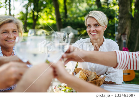 Multigenerational family toasting during outdoor barbecue party. Multigenerational family toasting during outdoor barbecue party. 132463097