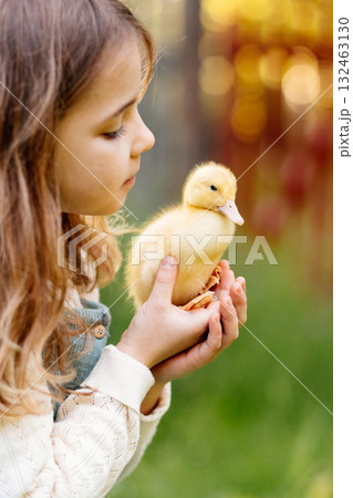 Lovely girl cuddling baby duckling. 132463130