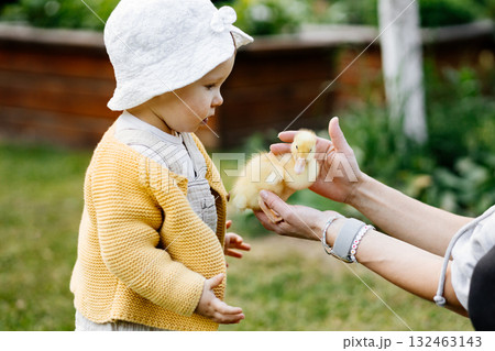 Cute toddler playing with ducklings on the farm. Cute toddler playing with ducklings on the farm. 132463143