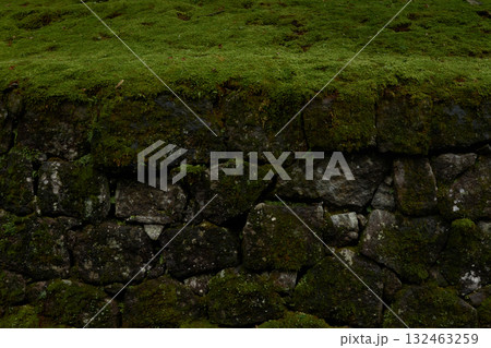上部分に苔が密集した、石造りの壁 上部分に苔が密集した、石造りの壁 132463259