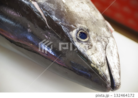 鮮魚市場で並ぶ新鮮なマグロの一本物 132464172