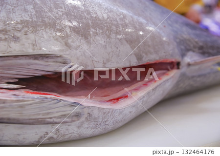 鮮魚市場で並ぶ新鮮なマグロの一本物 鮮魚市場で並ぶ新鮮なマグロの一本物 132464176