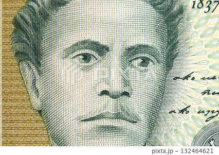 Vasil Levski a closeup portrait from Bulgarian money 132464621