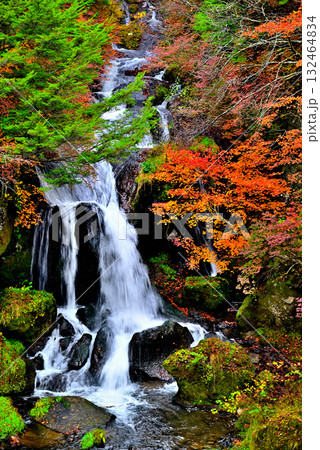 奥日光 竜頭ノ滝の紅葉 奥日光 竜頭ノ滝の紅葉 132464834