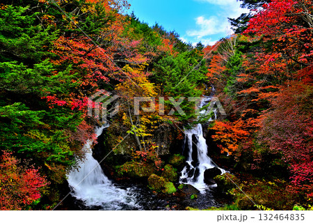 奥日光 竜頭ノ滝の紅葉 奥日光 竜頭ノ滝の紅葉 132464835