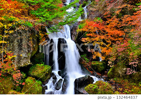 奥日光　竜頭ノ滝の紅葉 132464837