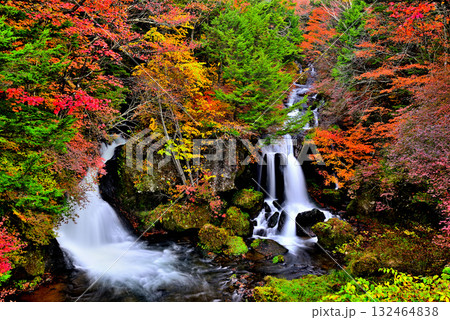 奥日光　竜頭ノ滝の紅葉 132464838