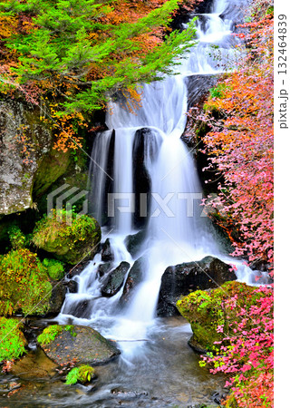 奥日光 竜頭ノ滝の紅葉 奥日光 竜頭ノ滝の紅葉 132464839