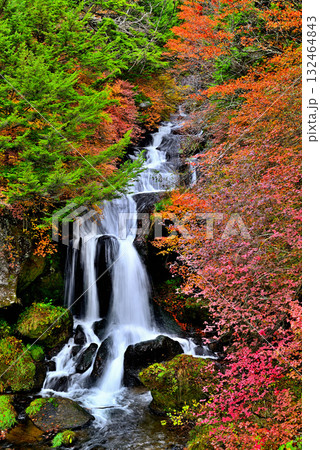 奥日光　竜頭ノ滝の紅葉 132464843