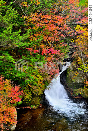 奥日光 竜頭ノ滝の紅葉 奥日光 竜頭ノ滝の紅葉 132464845