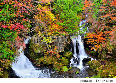 奥日光　竜頭ノ滝の紅葉 132464846
