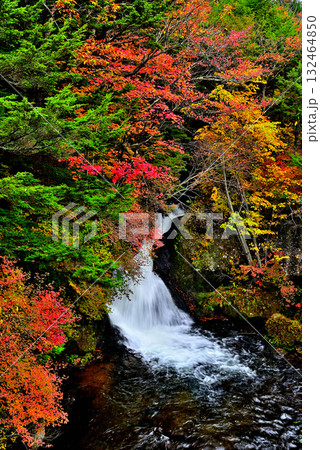 奥日光　竜頭ノ滝の紅葉 132464850