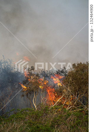 Wildfires fire burning with a lot of smoke, firefighters Wildfires fire burning with a lot of smoke, firefighters 132464900