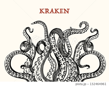 Octopus or Kraken tentacles background. Engraved hand drawn in old sketch, vintage sea monster Octopus or Kraken tentacles background. Engraved hand drawn in old sketch, vintage sea monster 132464961