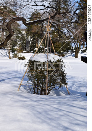 樹木に雪が着雪した風景 132465008