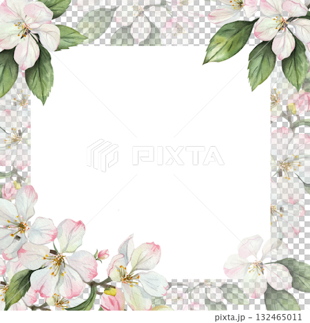 Watercolor floral frame with delicate white and pink apple blossoms and green leaves on white background. Elegant botanical border template for greeting cards, invitations, or posters. Space for text. 132465011