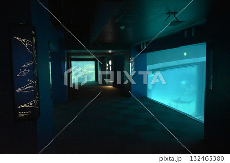 大阪　海遊館　水族館　水槽 132465380