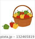 Simple flat vegetables in basket 132465819