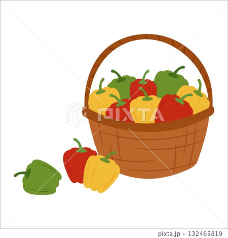 Simple flat vegetables in basket Simple flat vegetables in basket 132465819