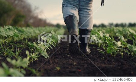 Agriculture, Rural innovation, Early crop stage, Natural farm landscape, Agricultural progress, Future of farming, Plant care and analysis, Tech-savvy farmer, Monitoring crop health, Environmental 132466400