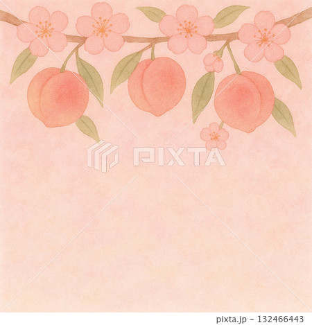 春の果物シリーズ：桃の花と果実のトップ型背景 132466443